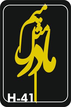 تاپر طلایی کد ۴۱ مادر